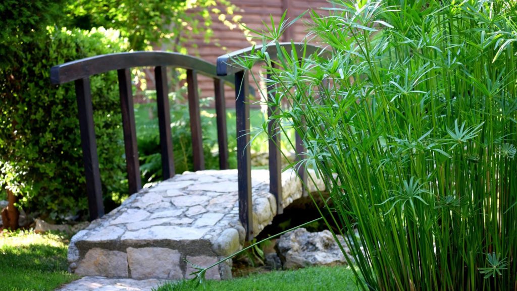 Large garden with ornamental plants